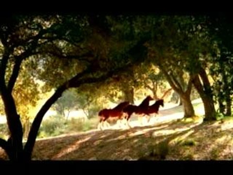 SuperBowl XL- Budweiser: American Dream