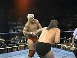 Barry Windham & Dustin Rhodes vs. Steve Williams & Terry Gordy (WCW Saturday Night 10.03.1992)