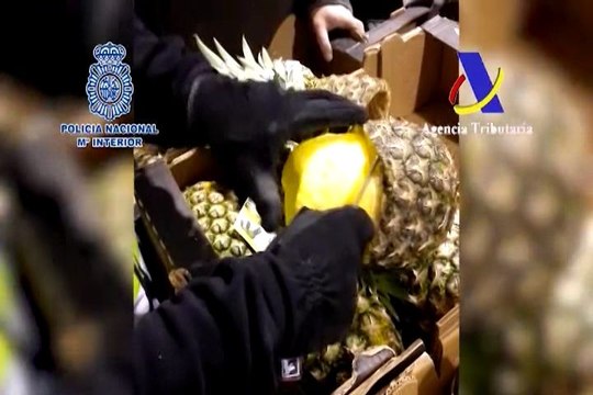 Intervenidos 200 kg de cocaína ocultos en piñas