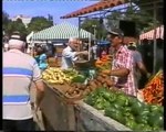 La agricultura orgánica en Cuba 1