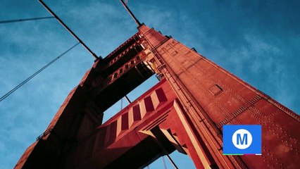 After Effects Project Files - Wrap Reveal - VideoHive 10020320