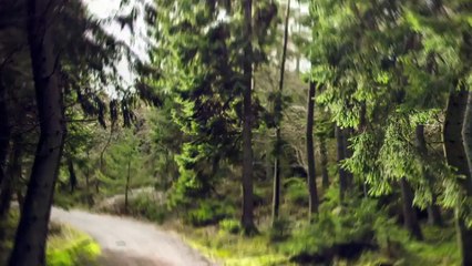 After Effects Project Files - Photo Flip Logo - VideoHive 10023702