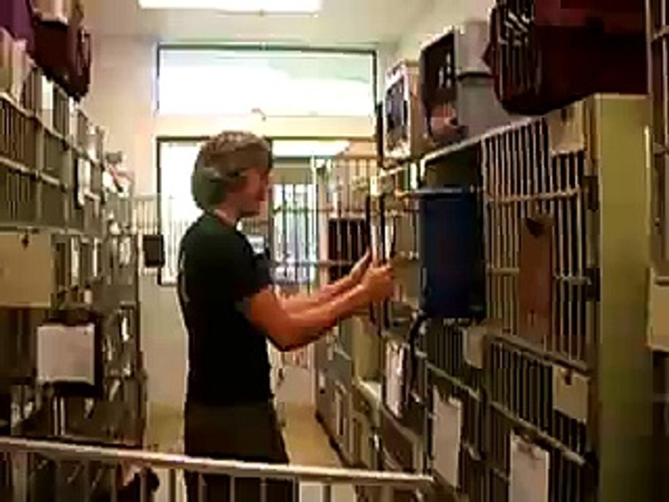 don't mess with cats