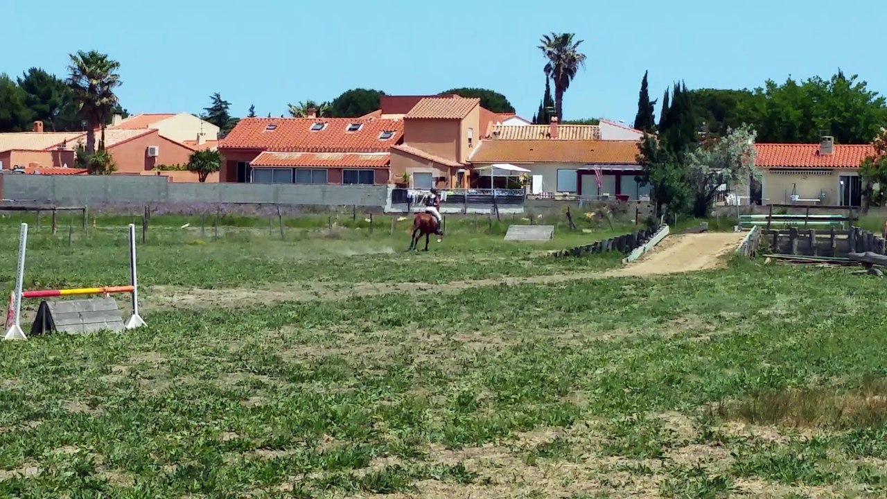 Bibi derby cross