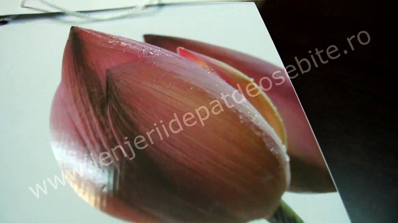 Lenjerii de pat in alb si negru