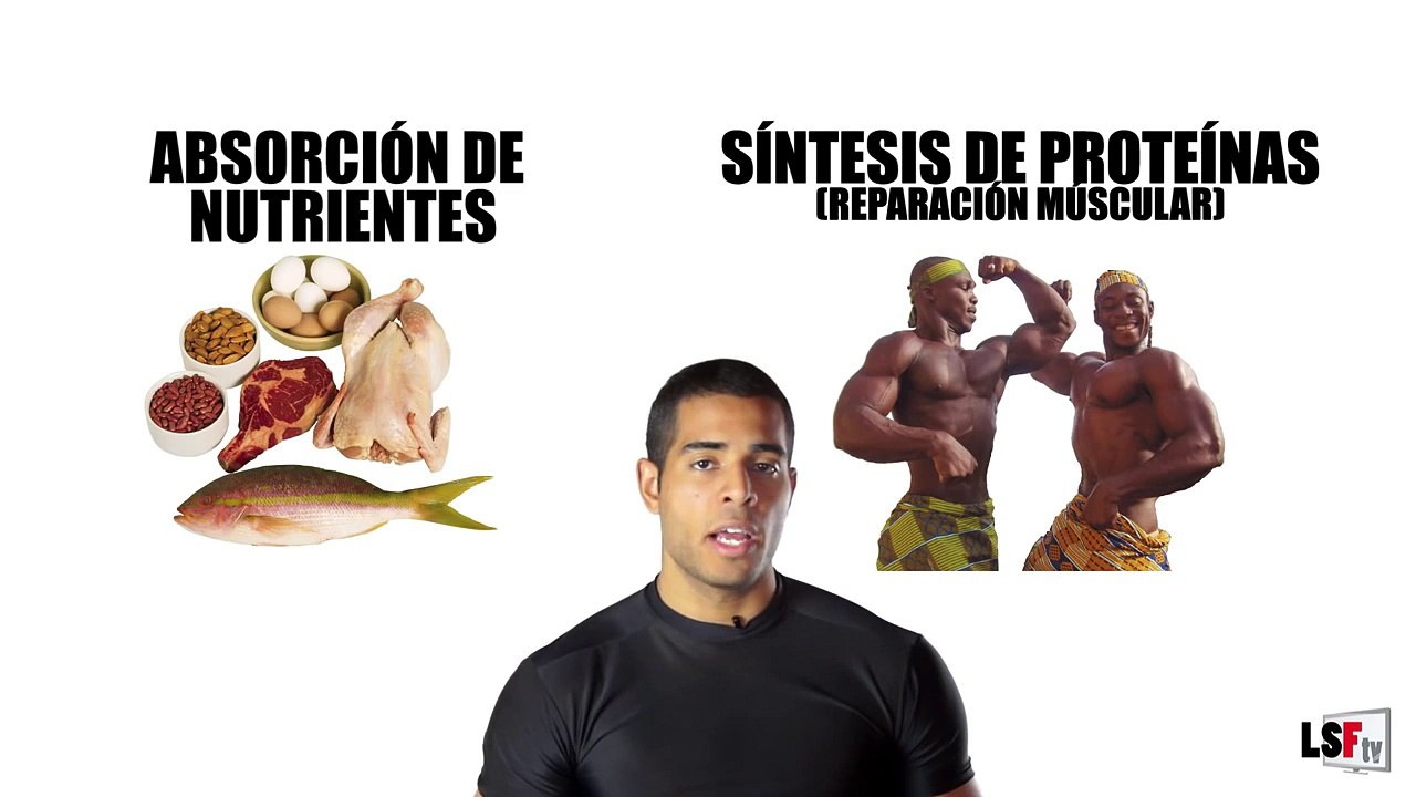 ¿Por qué los Culturistas se Inyectan Insulina?