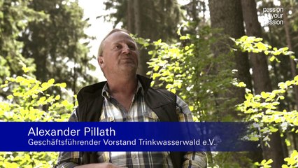 Deutsche Bank-Mitarbeiter lassen neue Wälder entstehen