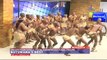 #theTrend: Botswana dancers showcase energetic moves