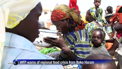 WFP warns of regional crisis from Boko Haram