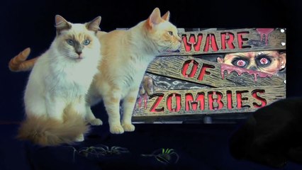 Cats Haunted Halloween - Furball Fables