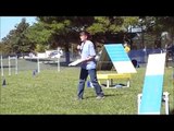 Public Demo of Dog Agility - Introduction and Examples of what to expect at a real trial