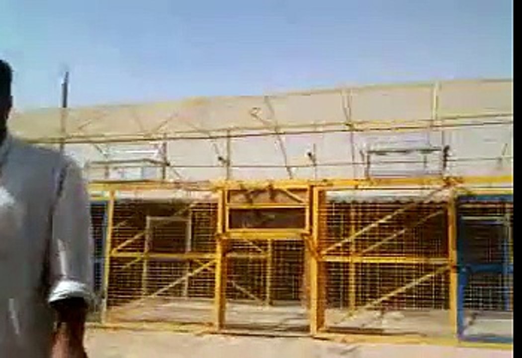 حمام زاجل صاحب نقطه مشتركه في عراق