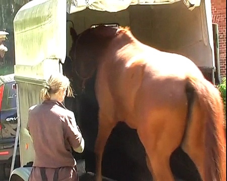 Wege zum Pferd