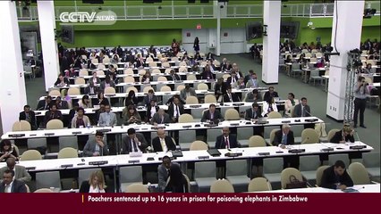 Kabila expresses support for UN force in Congo