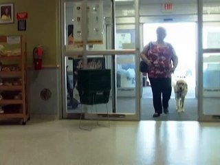 SERVICE ANIMALS ARE WELCOME (PSA 4)