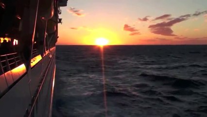 Mark Knopfler ⁓ Je Suis Désolé