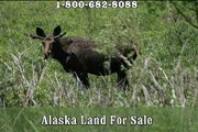 Alaska, Montana & Wyoming Hunting Land For Sale Rocky Mountain Timberlands