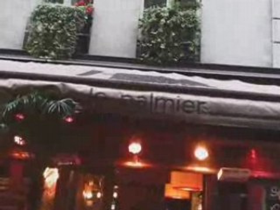 GAYPODCAST : LE PALMIER + SOS HOMOPHOBIE