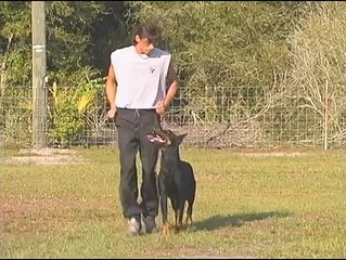 Obedience without Conflict with Ivan Balabanov: Clear Communication