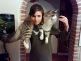 Milko and Benedikt Redi Cats - Maine Coon Cat