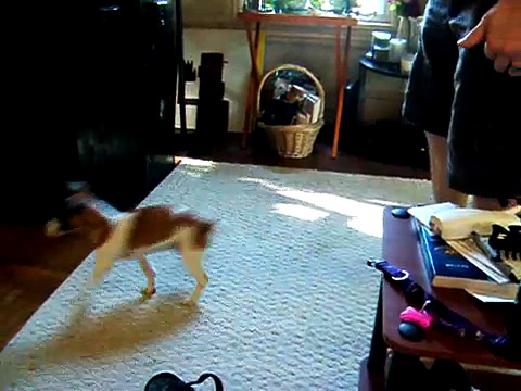 Home schooling for Molly