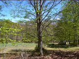 Escursione sul MONTENERO, da Cagno (San Giovanni in Fiore, Monti della Sila Grande, Calabria)