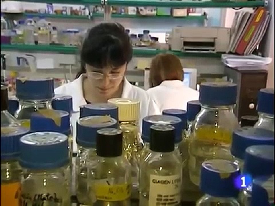 Científicos de la UCM descubren cómo las arañas hacen su tela