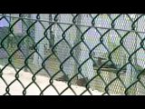 Siguen las torturas en la cárcel de Guantánamo