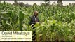 The Fertilizer Push - Supporting Africa's Green Revolution - Preview