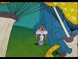 Compliation of Chuck Jones Cartoons