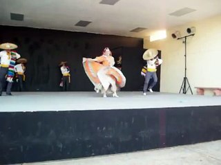 PELEA DE GALLOS!
