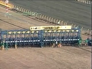 【高画質版】1989年 ジャパンカップ（GI） オグリキャップ ホーリックス（NZ）