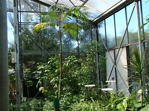 Butterfly House Pictorial - Coffs Harbour