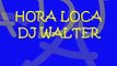 DJ WALTER HORA LOCA _ LA MEJOR HORA LOCA 2011 - 2012.