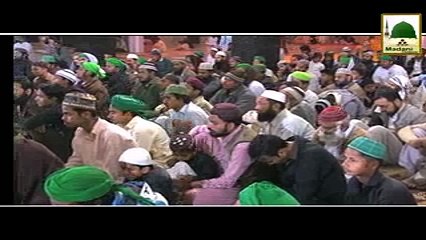 Kaddo Shareef Pasandeeda Sabzi - Madni Channel - Short Clips