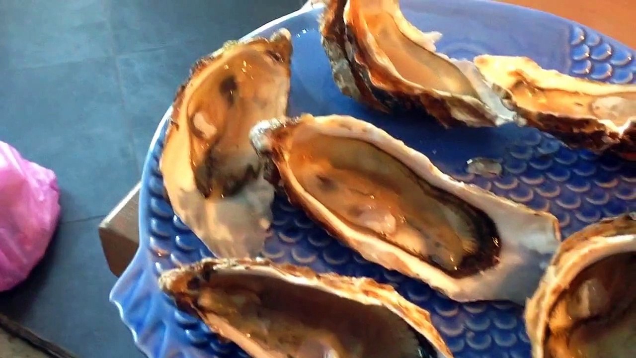 UN CHAT TROP DRÔLE  QUI MANGE DES HUITRES !!