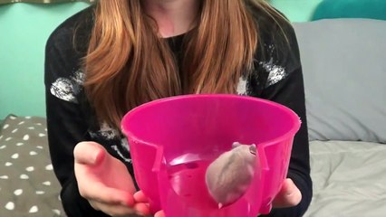 MEET POPTART!