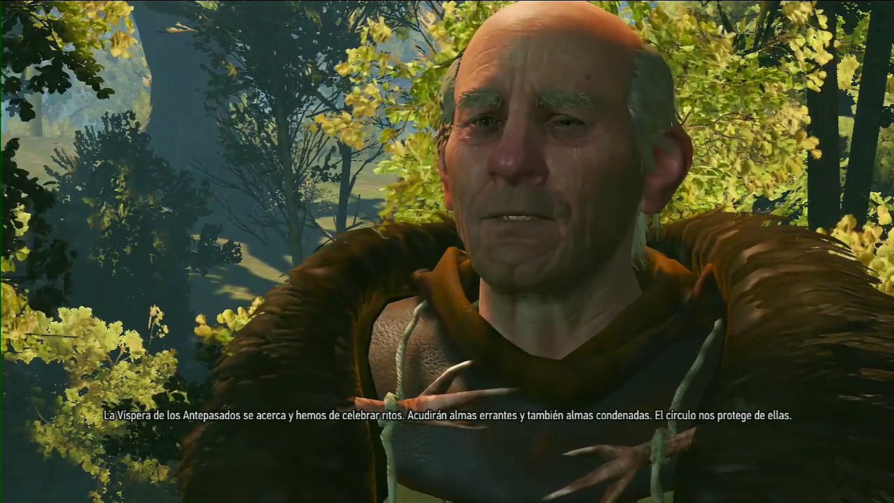 The witcher Wild hunt, parte 26, Jugando al teto con Keira