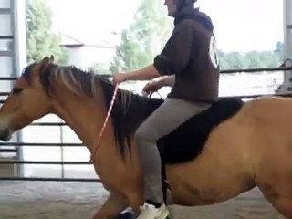 Cordeo? No, Hulahoop! Bridleless Riding with Kiger Mustang