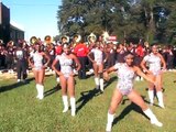 Pine Bluff High School Marching Band-Swoop