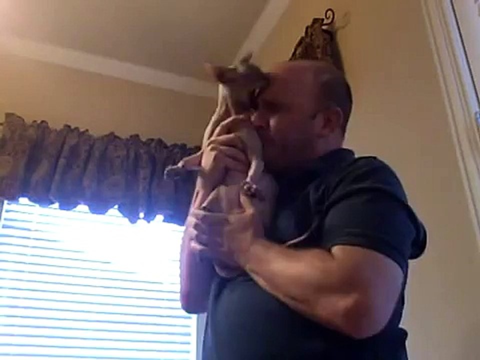 Sphynx Butterball - Ep 87 - ZERBERTS!