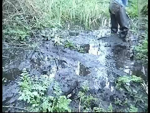 Mud pool in the woods 4