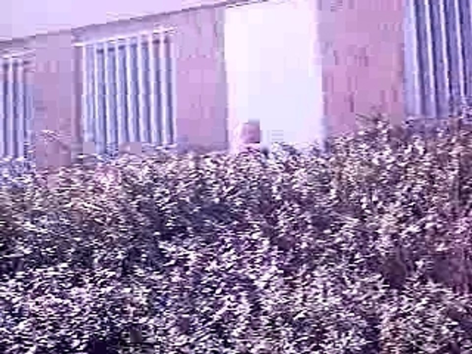 Mes pioupious le 28 mars 2007 3-6