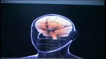 VIDEO DE BIOQUIMICA _ Efeito do álcool no cérebro