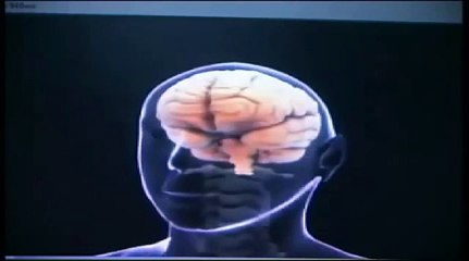 VIDEO DE BIOQUIMICA _ Efeito do álcool no cérebro