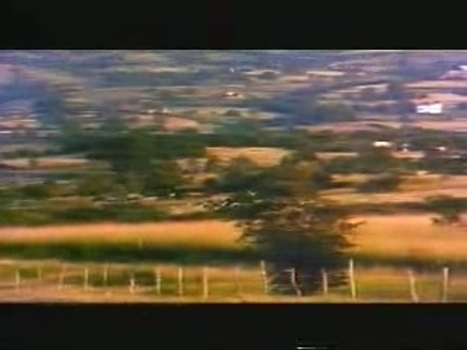 Trailer Life And Debt