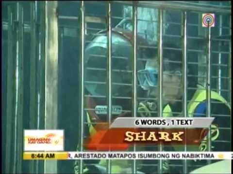 Swim with sharks at Manila Ocean Park