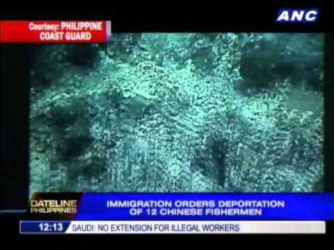 TMO chief testifies against Chinese poachers