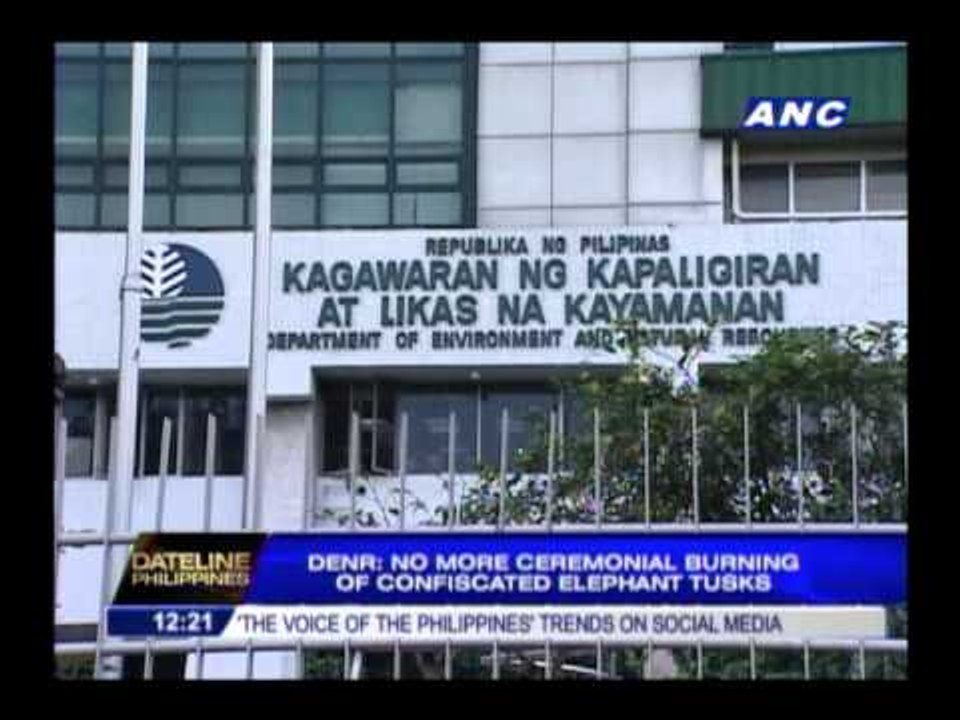 No torching of seized elephant tusks