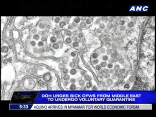 Quarantine proposed for sick travellers from Middle East